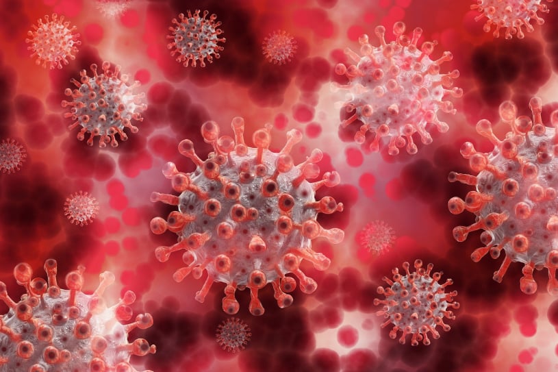 Interview with a Virus